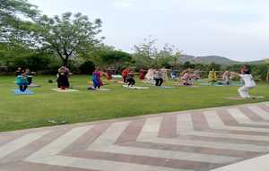 yoga center in udaipur